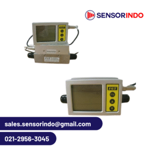 Tipe TMFM6000: Pengukur Aliran Massa