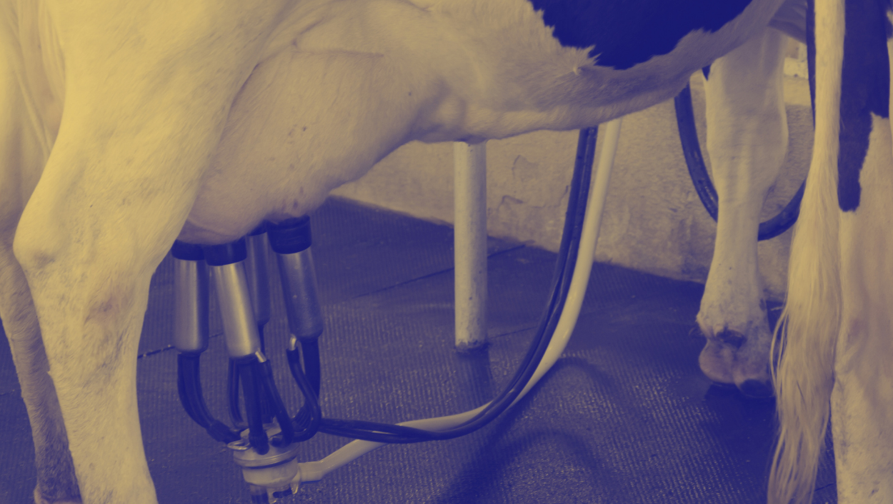 Aplikasi-Algriculture-2