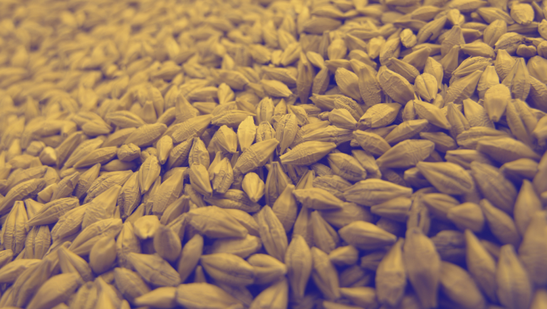 Aplikasi-Algriculture-4